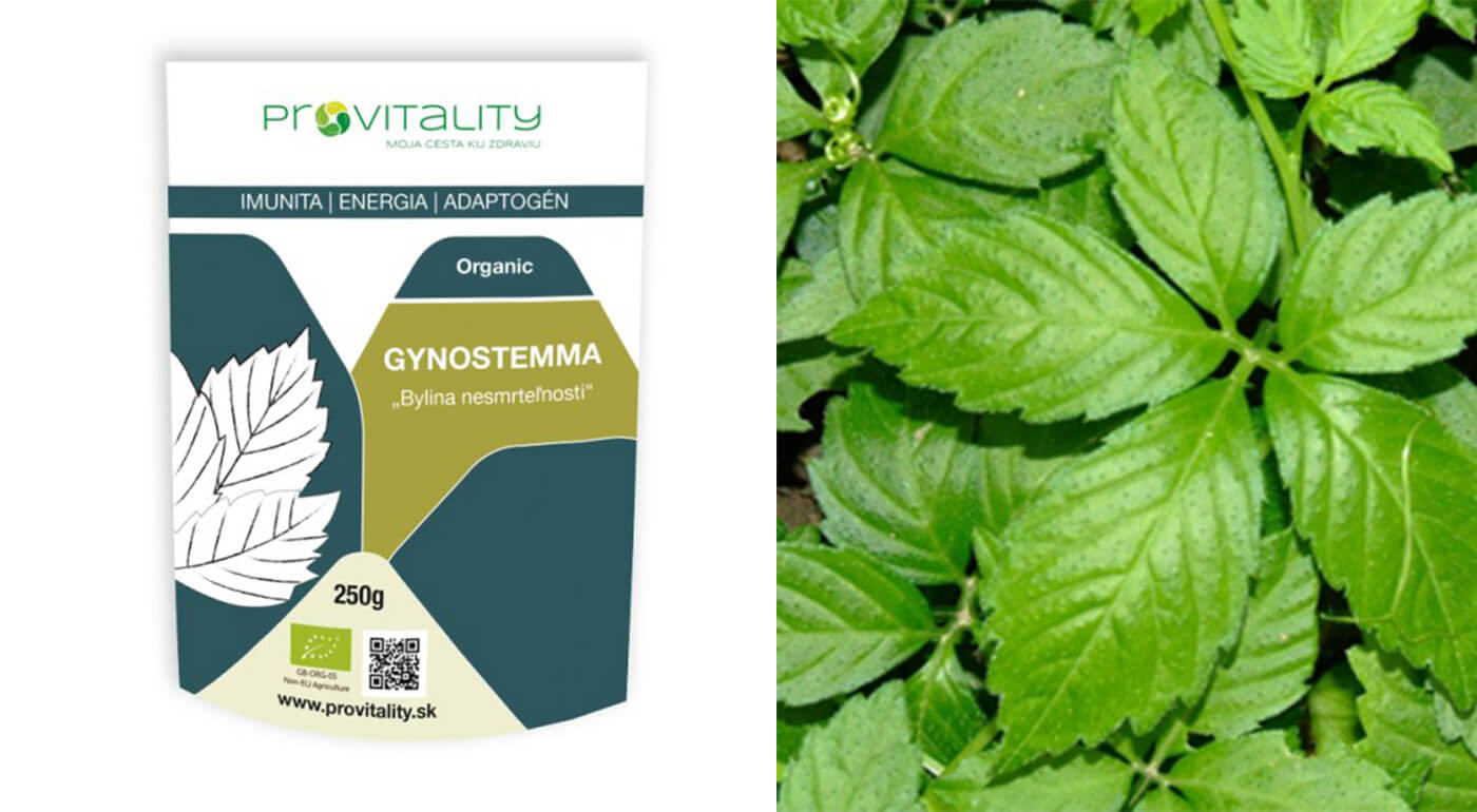 100% prášok z byliny Gynostemma (250 g)