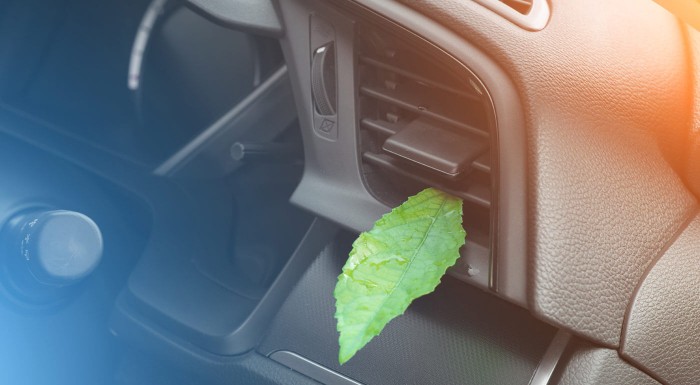 Čistenie klimatizácie