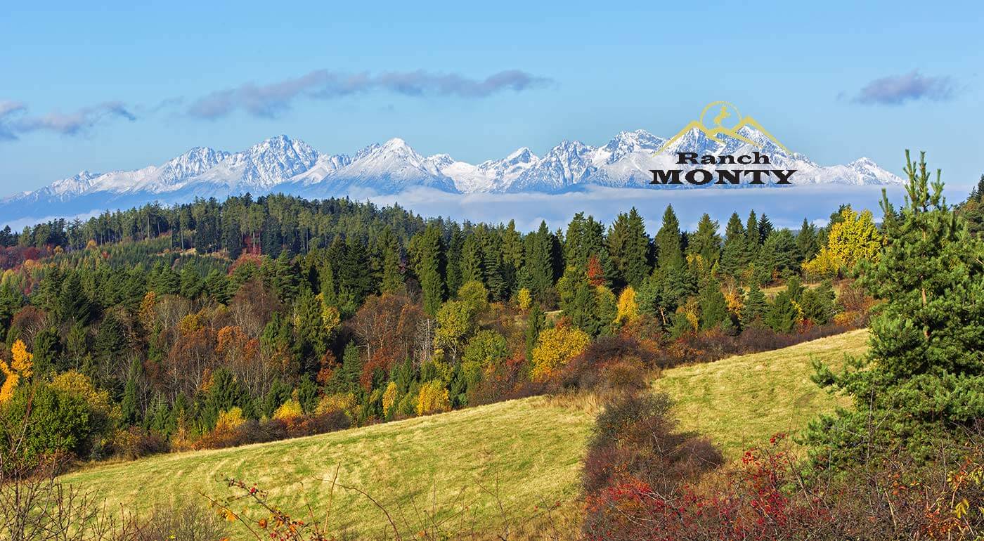 Pobyt v Tatrách s polpenziou a jazdou na koni
