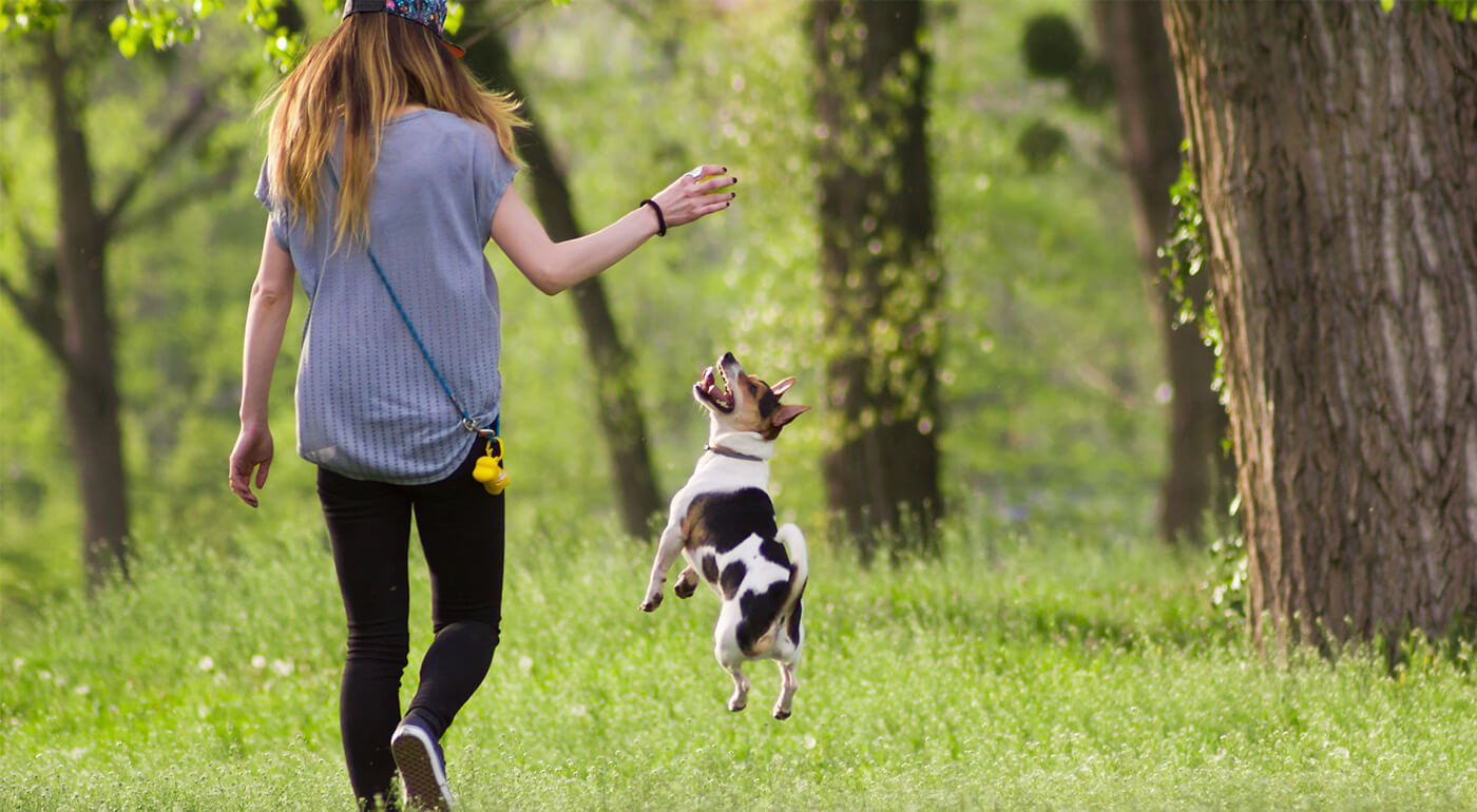 Loptičky na hranie pre psy