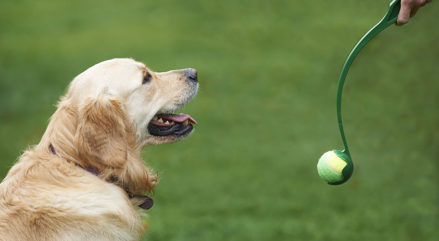 Hádzač loptičiek pre psov