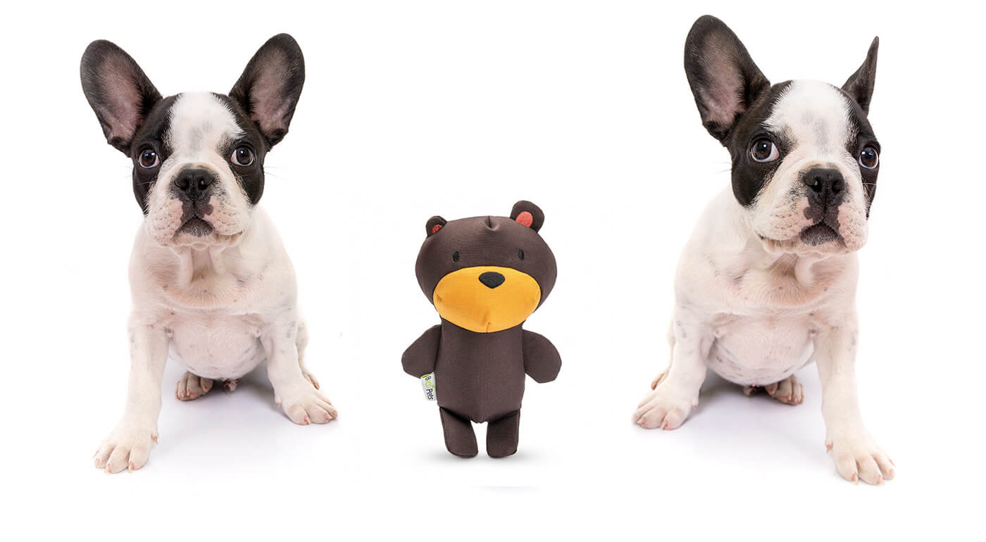 Pískacia hračka pre psy