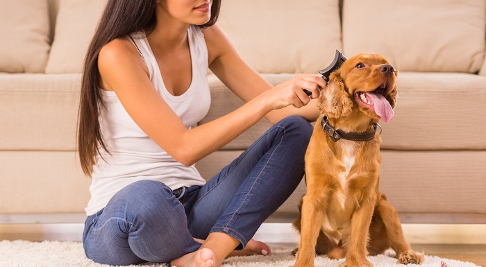 Kefa pre psy a mačky