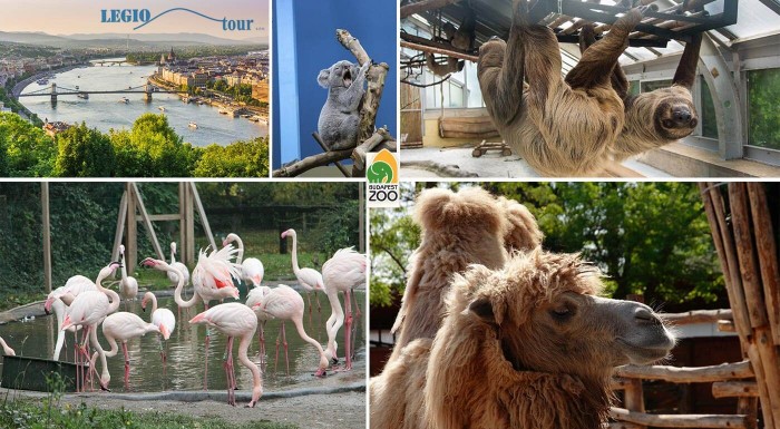 ZOO Budapešť a prehliadka mesta