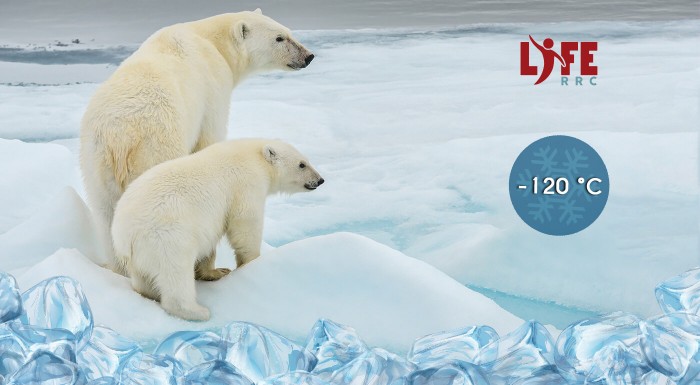 Zažite -120 stupňov v kryokomore RRC Life