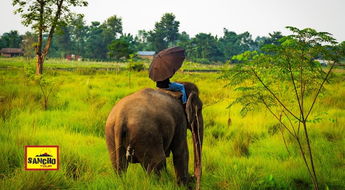 Nepál a India: zľava na 15-dňový poznávací zájazd