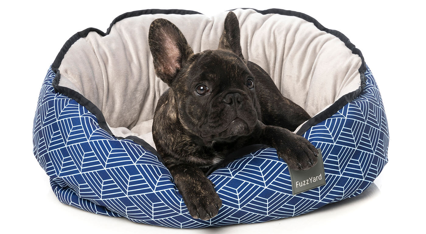 Pelechy FuzzYard pre psy a mačky