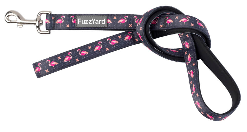 Neoprénové vodítko pre psa FuzzYard Fabmingo - veľkosť S