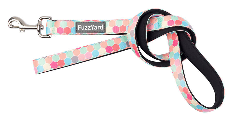 Neoprénové vodítko pre psa FuzzYard The Hive - veľkosť S