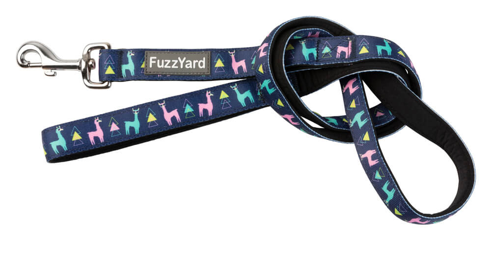 Neoprénové vodítko pre psa FuzzYard No Probllama - veľkosť S