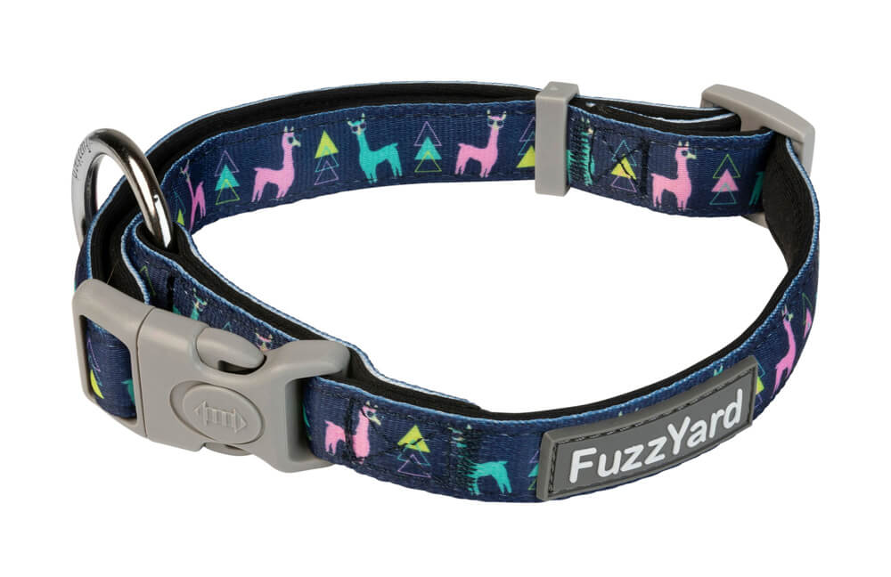 Neoprénový obojok pre psa FuzzYard No Probllama - veľkosť S