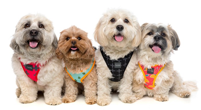 Postroj pre psa FuzzYard - na výber 2 druhy