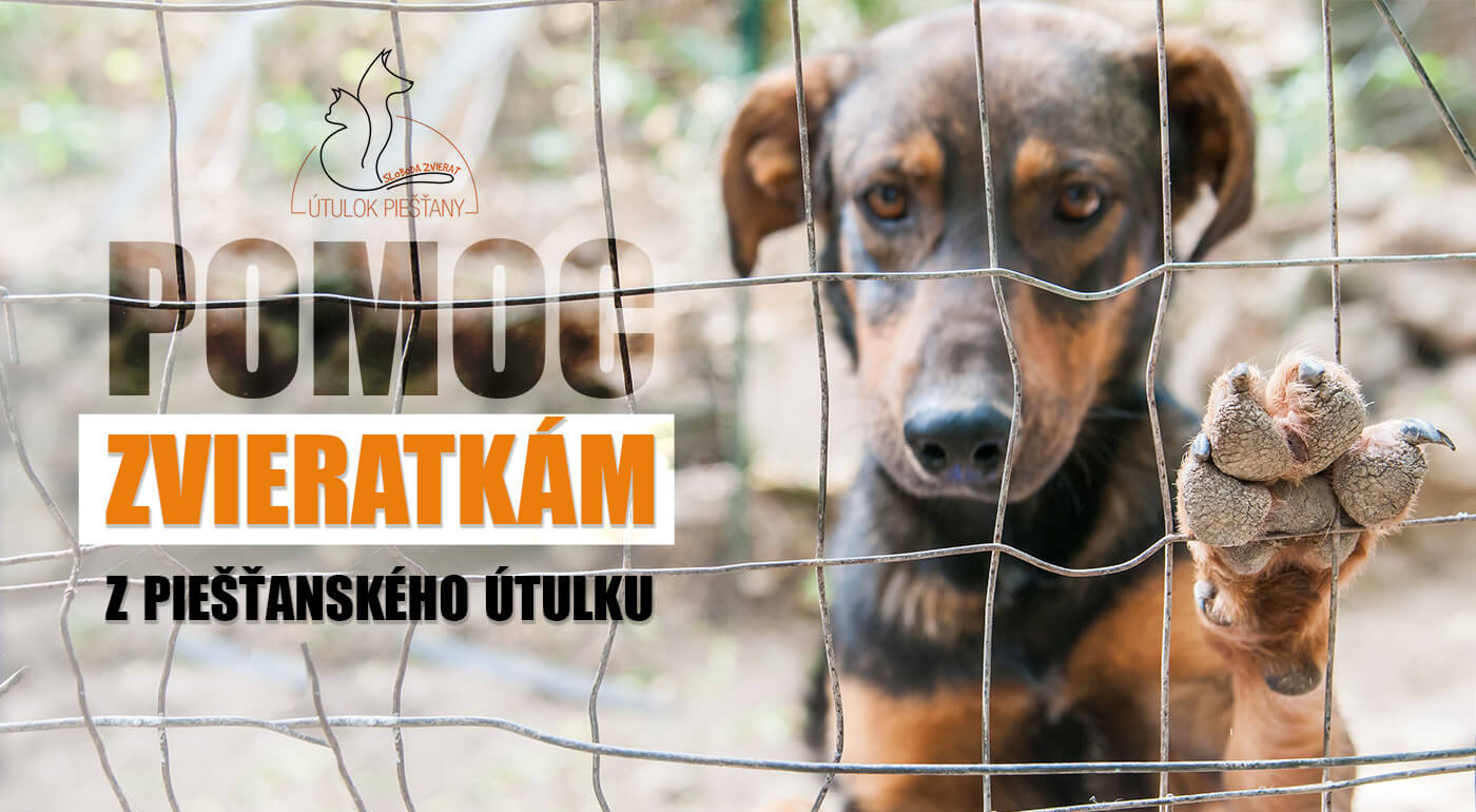 Pomoc pre psíkov v Útulku Piešťany