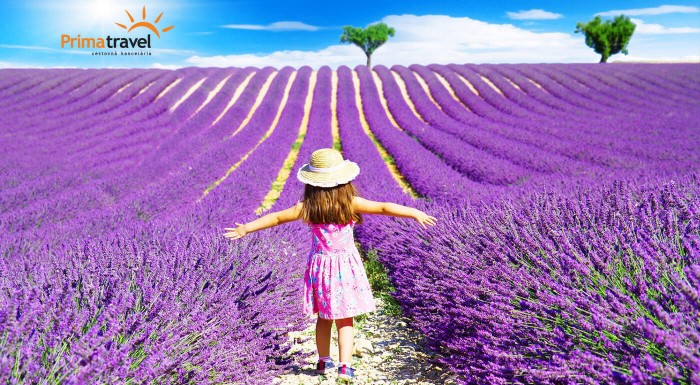 Zájazd do levanduľového Provensálska
