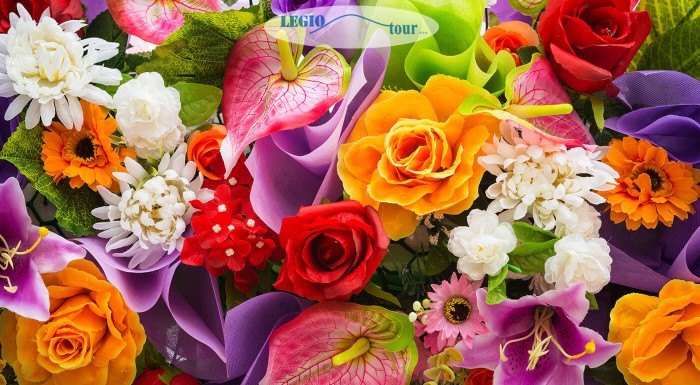 Zájazd na Medzinárodnú výstavu kvetov a záhrad