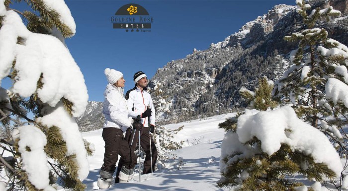Sneh, zima a lyžovačka v Hoteli Goldene Rose***
