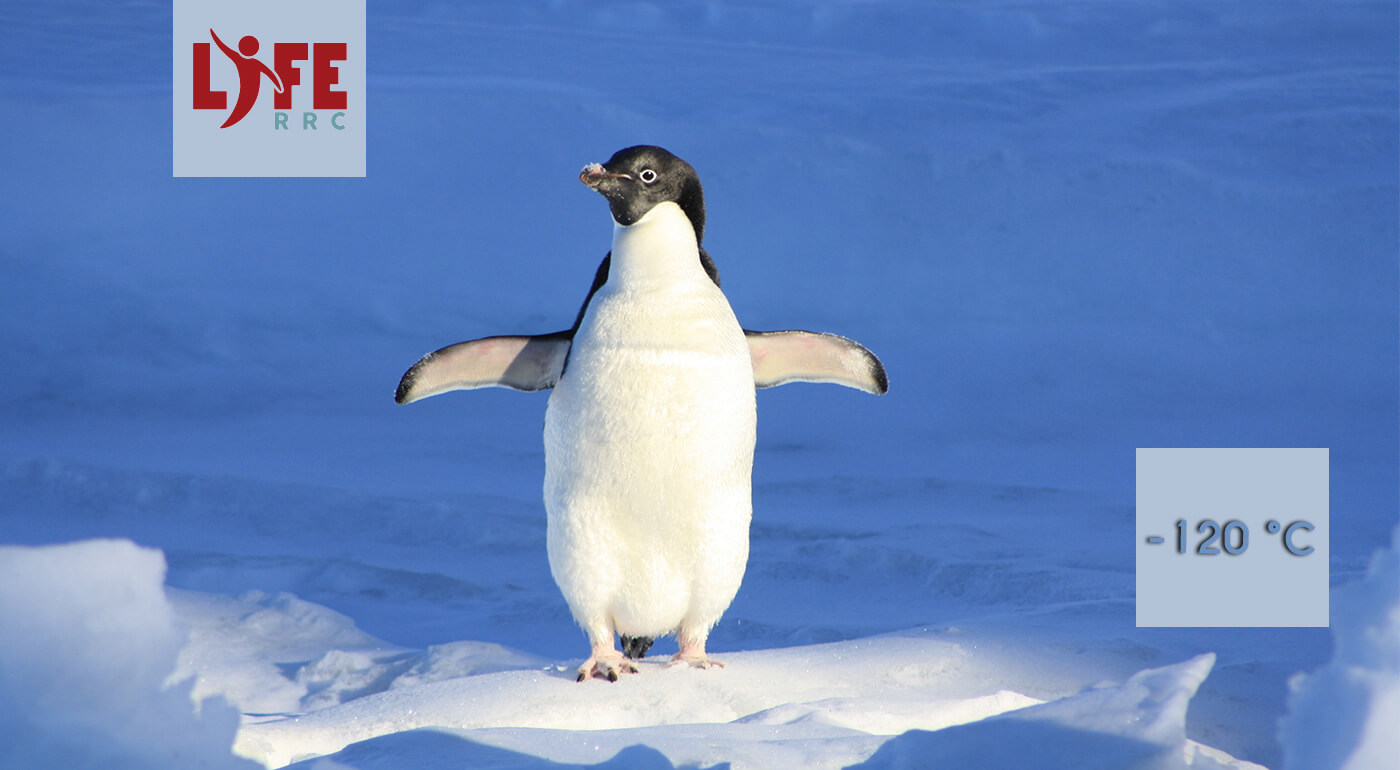 Mínus 120°C v kryokomore = posilnenie imunity