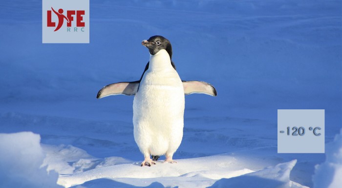 Mínus 120°C v kryokomore = posilnenie imunity