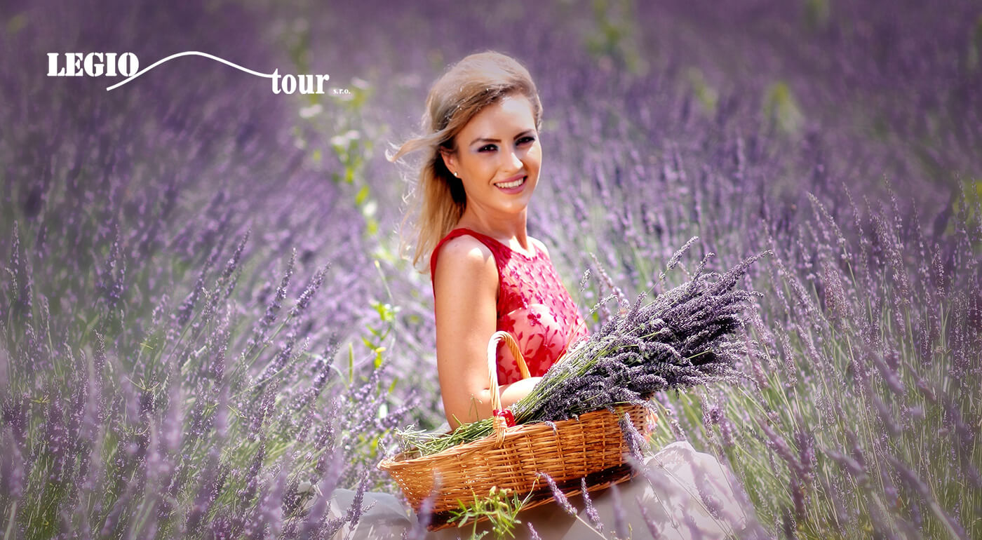 Levanduľový festival v Tihany