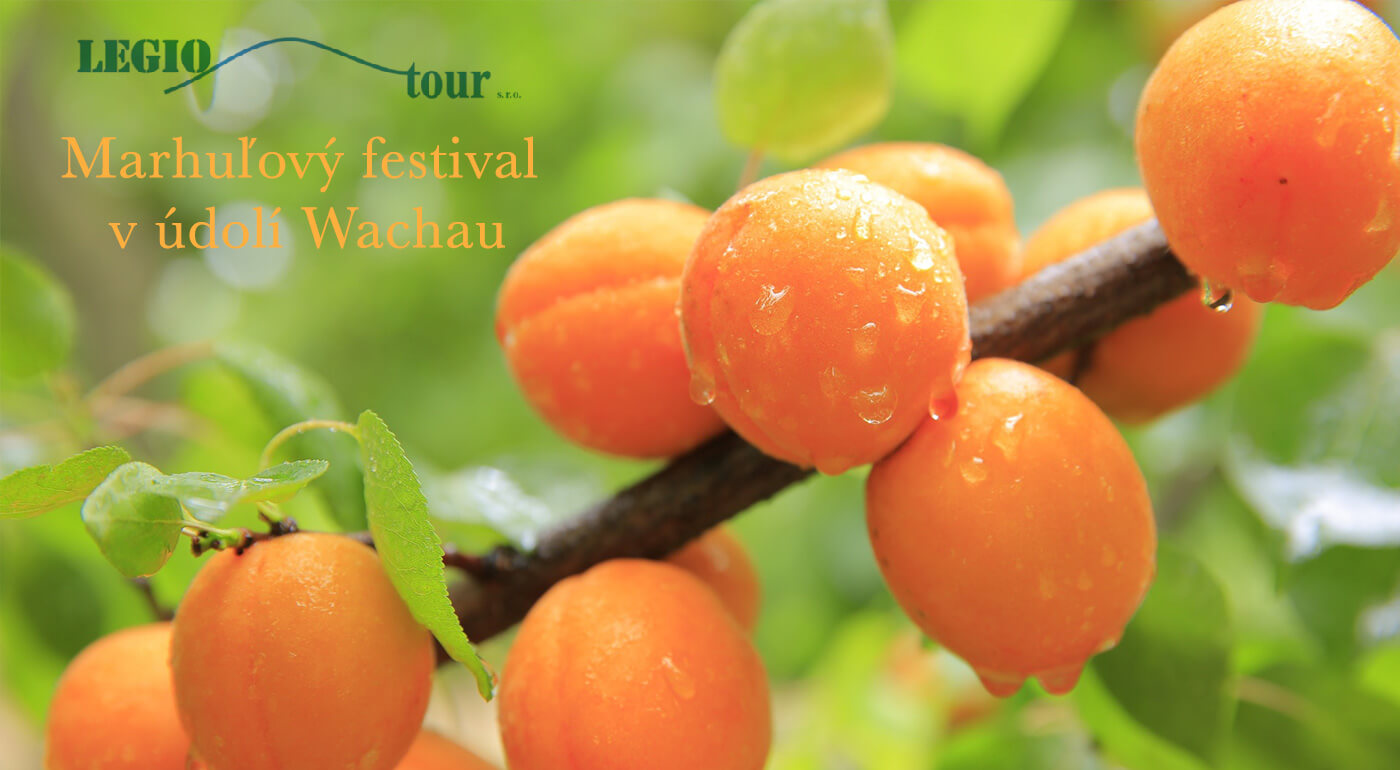 Marhuľový festival v údolí Wachau