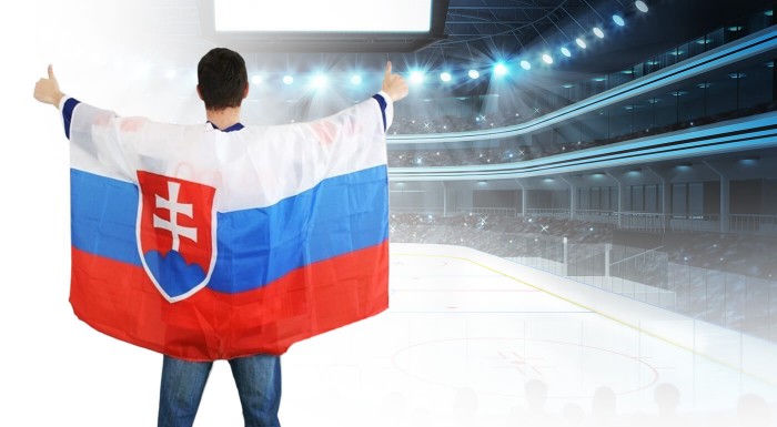 Slovenská vlajka - plášť pre športových fanúšikov