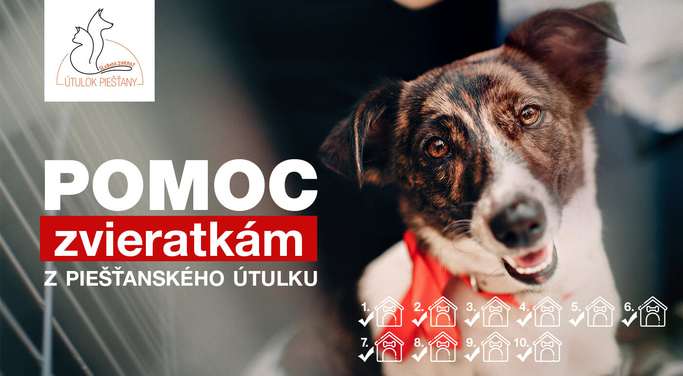 Pomoc pre psíkov v Útulku Piešťany
