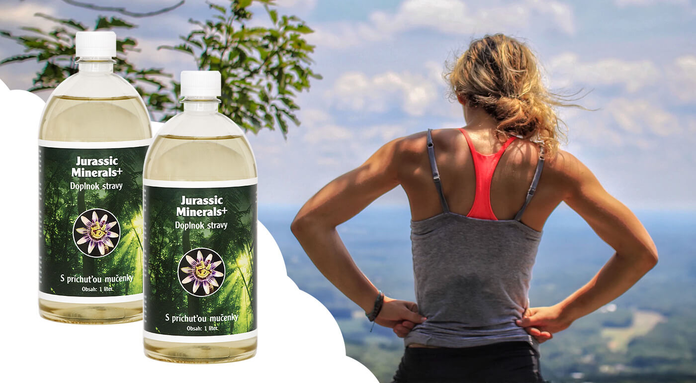 Komplex minerálov Jurassic Minerals