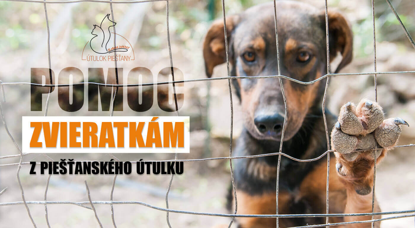 Pomoc pre psíkov v Útulku Piešťany