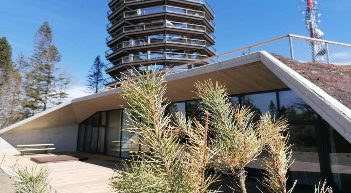 Apartmány PANORAMA Bachledka