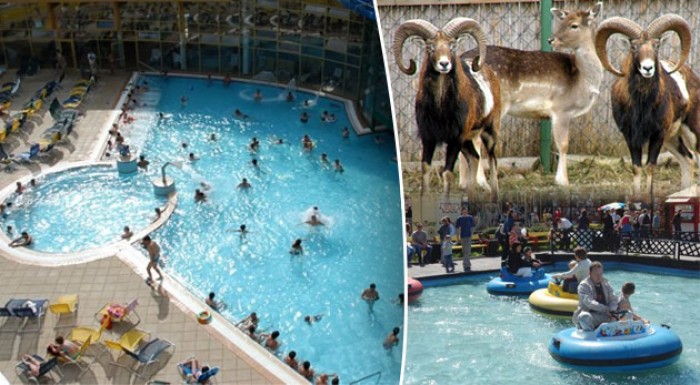 Ubytovanie v lone Oravy v Penzióne Pínia + karta zliav ORAVAPASS. Deti do 6 rokov zadarmo. Skvelá akcia pre rodiny s deťmi.