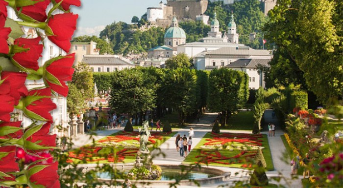 Zájazd pre 1 osobu na impozantný festival Dni ruží v rakúskom meste Baden.