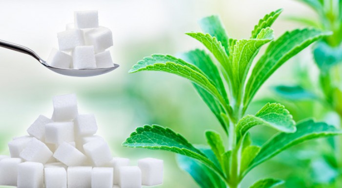 Stévia sladká 150 ks semienok paraguajskej rastliny. Najsladšie prírodné sladidlo bez kalórií.