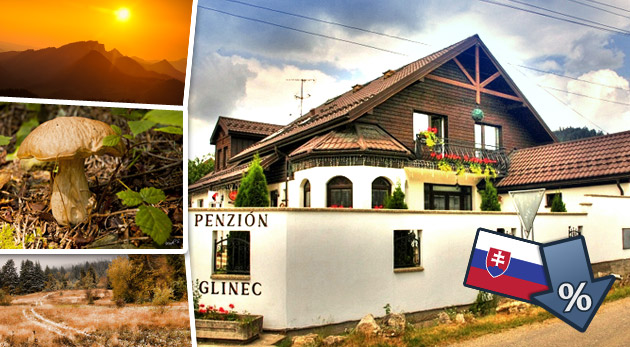 Pobyt v kúpeľoch Vyšné Ružbachy v Penzióne Glinec s možnosťou kúpania sa v minerálnej vode zadarmo. 3 deti grátis.