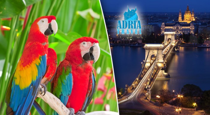 Zájazd do Budapešti s návštevou ZOO a prehliadkou mesta.