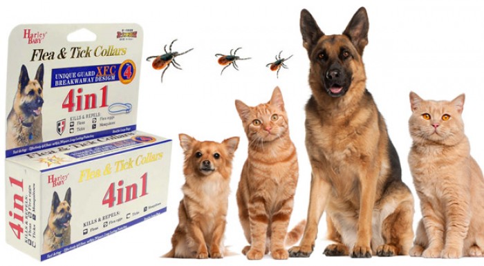Antiparazitný obojok pre psy a mačky s účinkom až 4 mesiace.