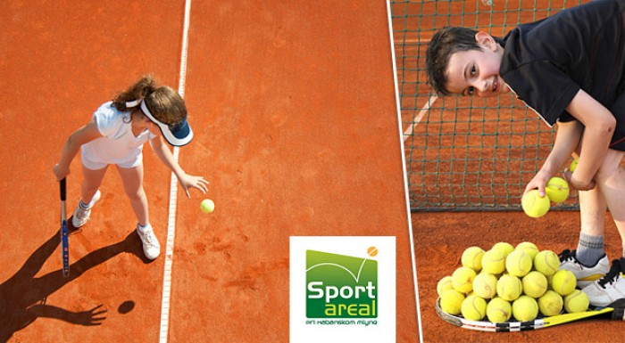 Výhodný prenájom tenisového ihriska. Oddýchnite si pri bielom športe.