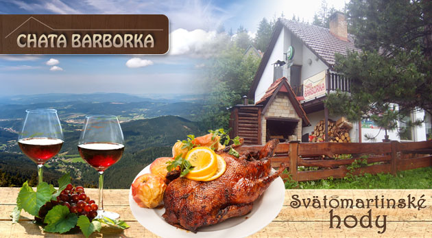 Pobyt s polpenziou alebo Svätomartinský víkend v Beskydách len 15 km od slovenských hraníc.