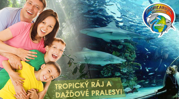 Tropicarium Budapešť - zažite kúsok pralesa a podmorskej divočiny! 