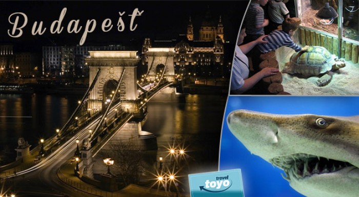 Pozrite si historické pamiatky v Budapešti a spoznajte tajomný podmorský život.