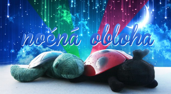 Morská korytnačka alebo lienka