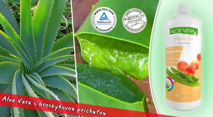 Naštartujte svoj deň s výživovým doplnkom z Aloe Vera s čerstvou broskyňovou príchuťou teraz len za 15€. Pôsobí priaznivo na celý organizmus.