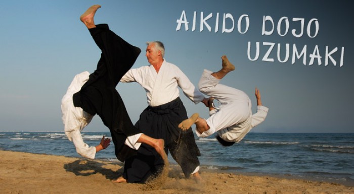 Permanentka na japonské bojové umenie