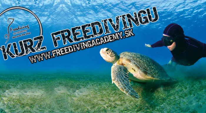 Kurz freedivingu 