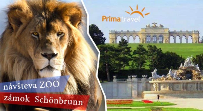 Jednodňový zájazd do Viedne - ZOO a Schönbrunn