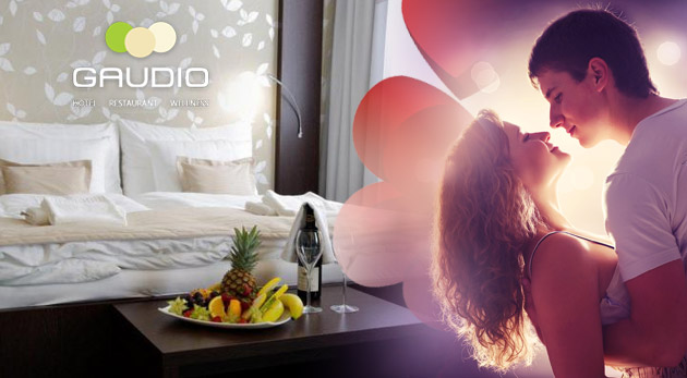 Ubytovanie pre 2 osoby v Hoteli Gaudio*** v BA