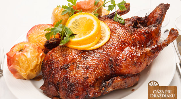 Kačacina v Oáze pri Draždiaku