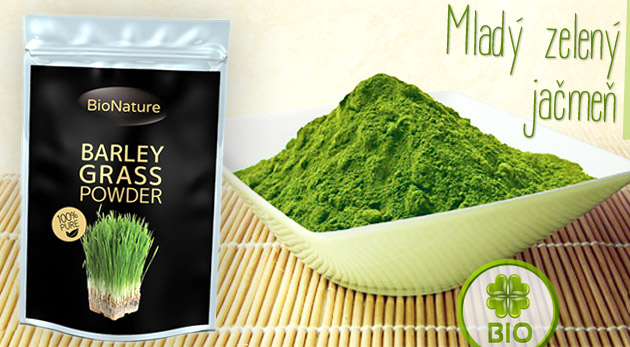 Mladý zelený jačmeň