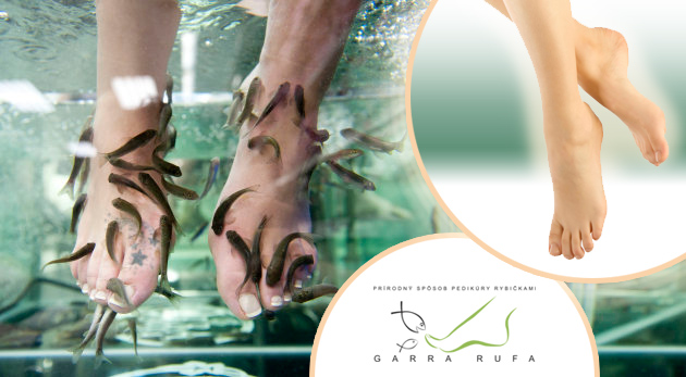Biopedikúra rybičkami Garra Rufa v Košiciach