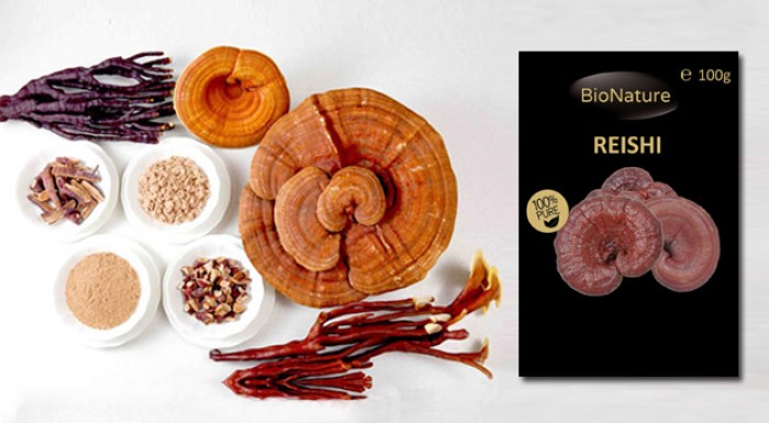 Reishi - huba večnej mladosti