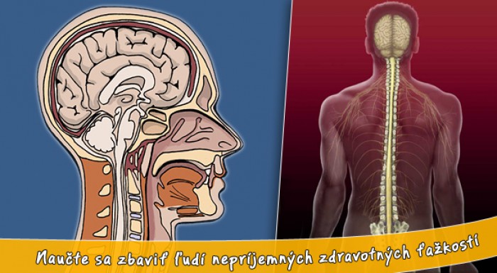 6 dňový kurz kraniosakrálnej terapie. Certifikované štúdium - pre masérov, fyzioterapeutov aj začiatočníkov.